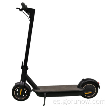 GS-10S 10 pulgadas 2 scooters eléctricos de motor